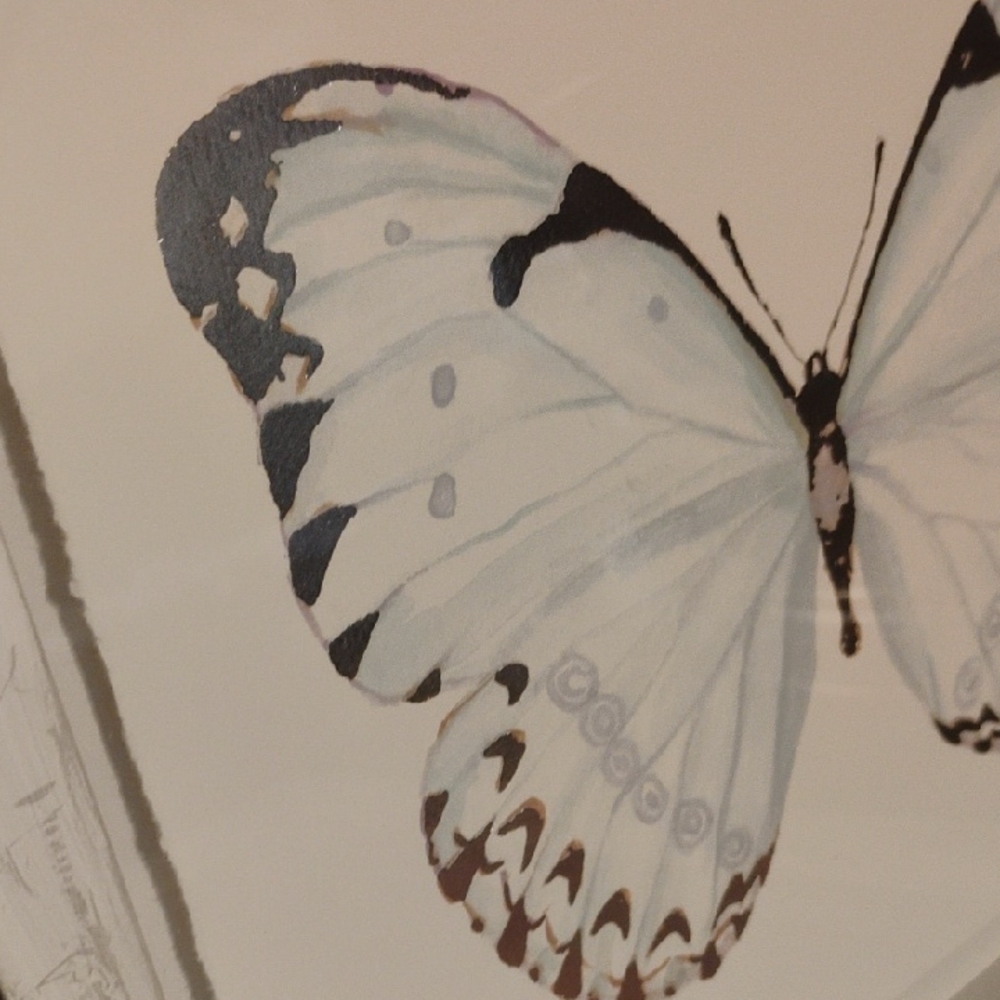 2 MAR MONT HILL Butterfly Pictures